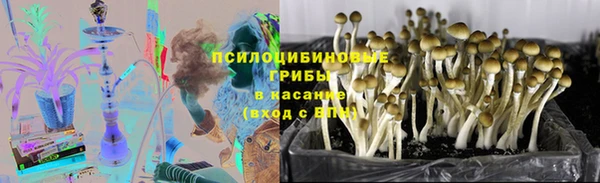 прущий лед Арсеньев